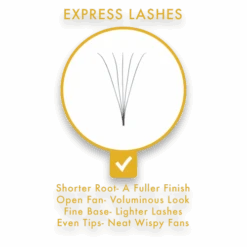 Lash U Lashes Express Pre Made Lashes 5D C Curl .07mm X11mm